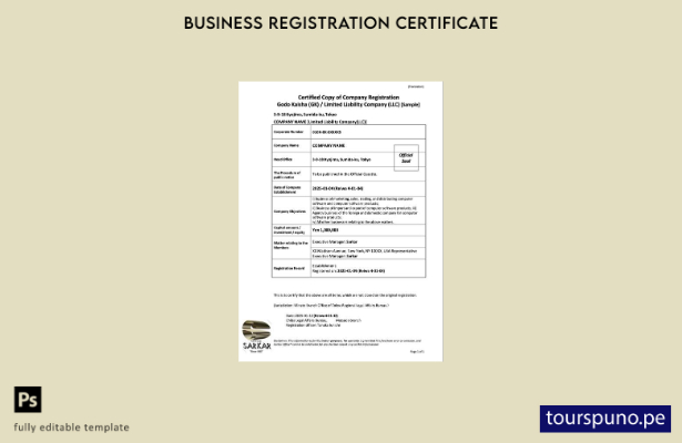 listo para imprimir plantilla de plantilla de Word y PDF de registro de empresa 
